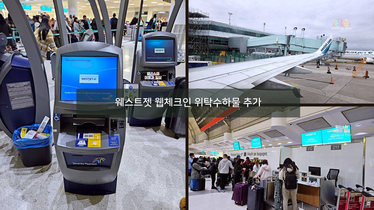 웨스트젯 웹체크인 위탁수하물 추가 요금 후기