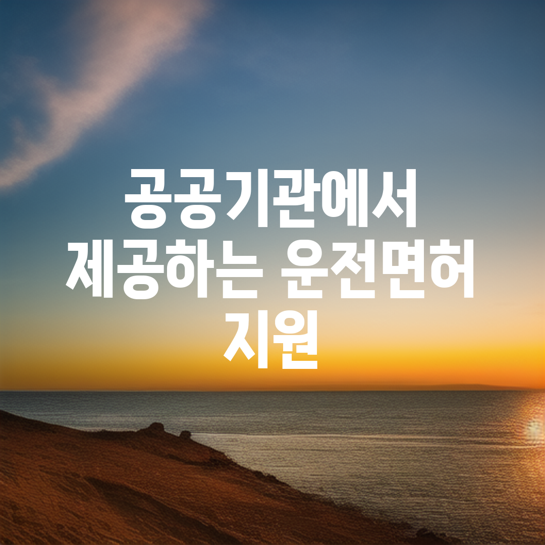 공공기관에서 제공하는 운전면허 지원
