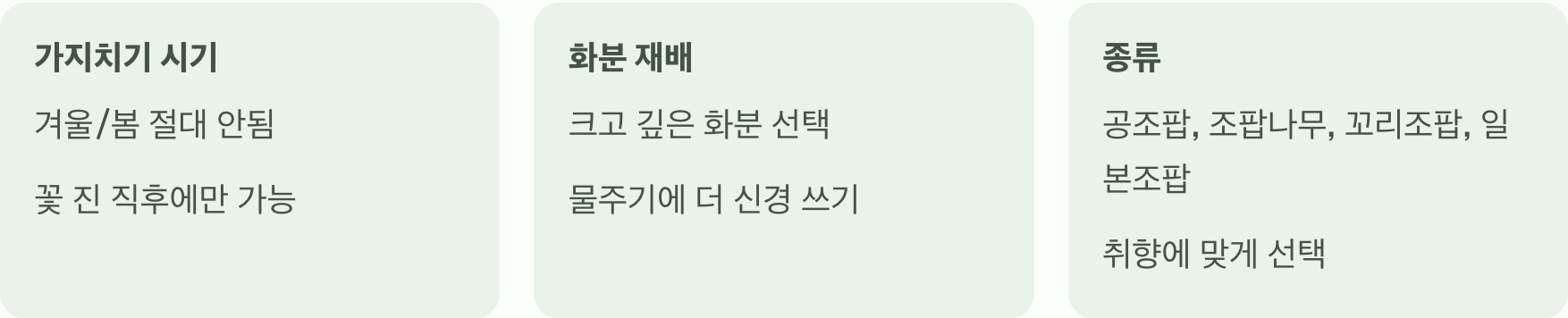 봄의 흰 눈송이, 공조팝나무 키우기 A to Z