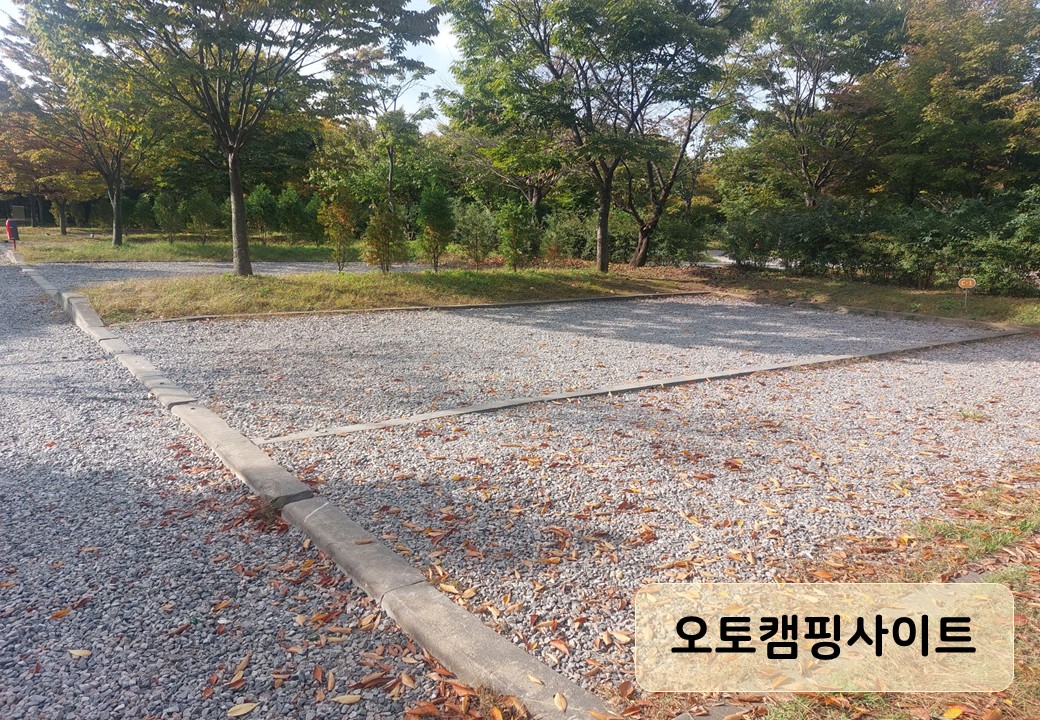 안산 화랑오토캠핑장 캠핑사이트