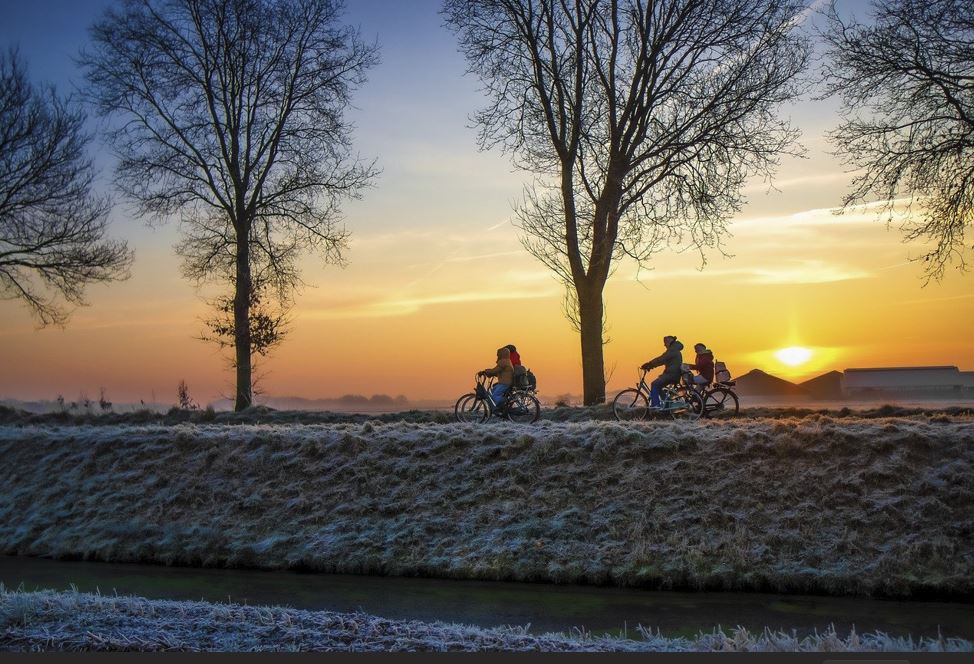 숙박세일페스타 일정 요약