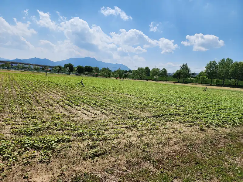 전답 매매 시 꼭 알아야 할 모든 정보