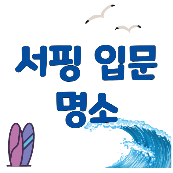 서핑 입문 명소