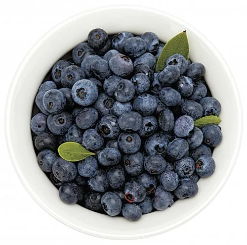 아로니아 효능 칼로리 권장섭취량_6