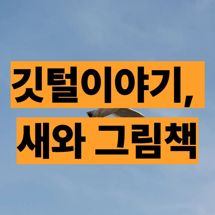 깃털이야기, 새와 그림책~