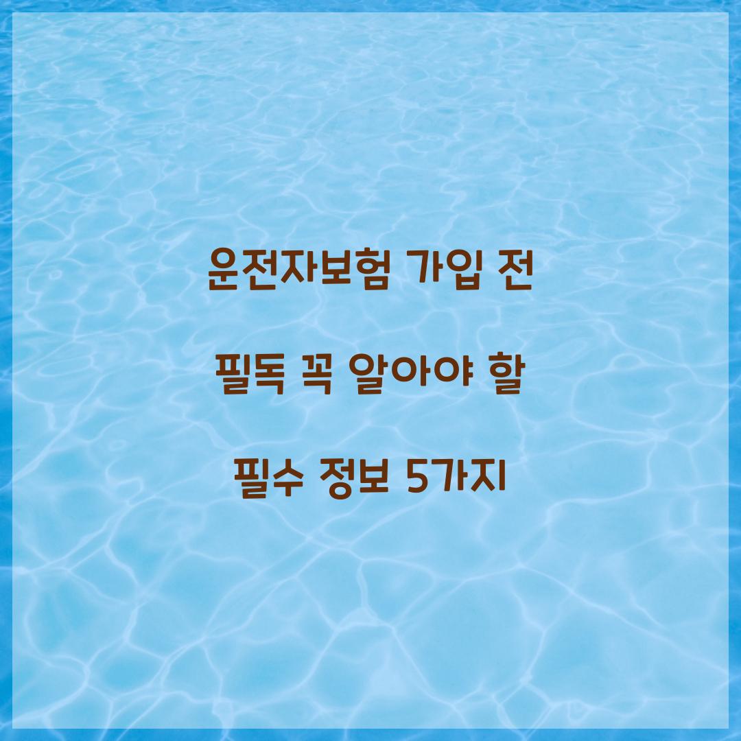 운전자보험 가입 전 필독