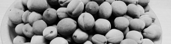 개복숭아 수확시기: 시점