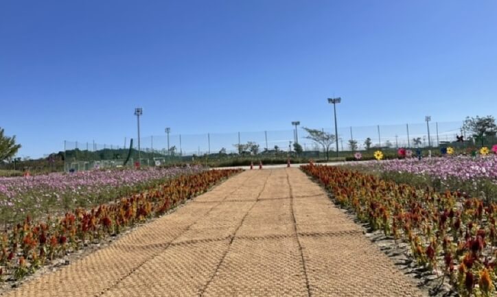 부여 가볼만한곳 베스트 10