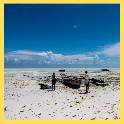 농어민수당신청 