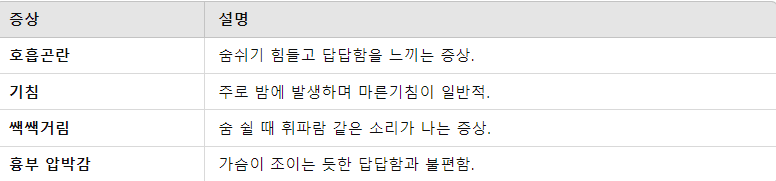 천식의 주요 증상 요점 정리