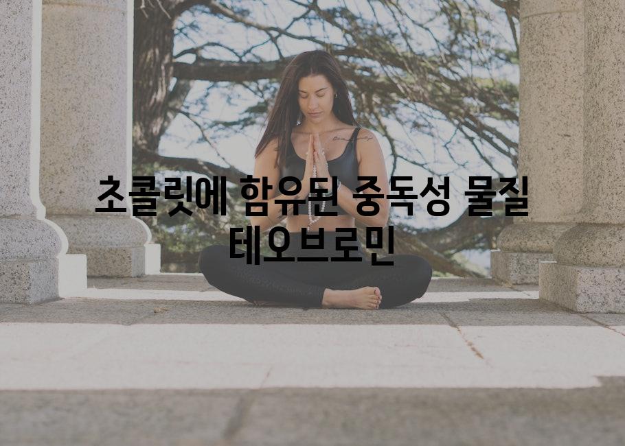 초콜릿에 함유된 중독성 물질 테오브로민
