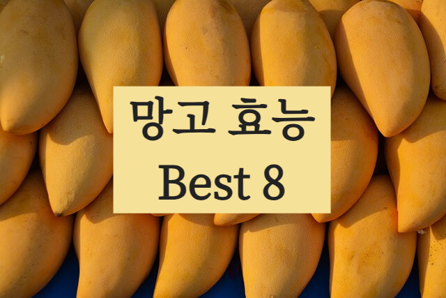 망고 효능