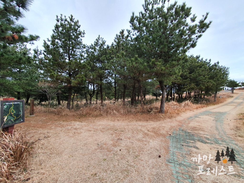 대수산봉 정상 가는길