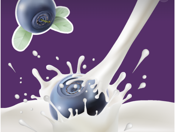 그릭요거트 설명 (그림)