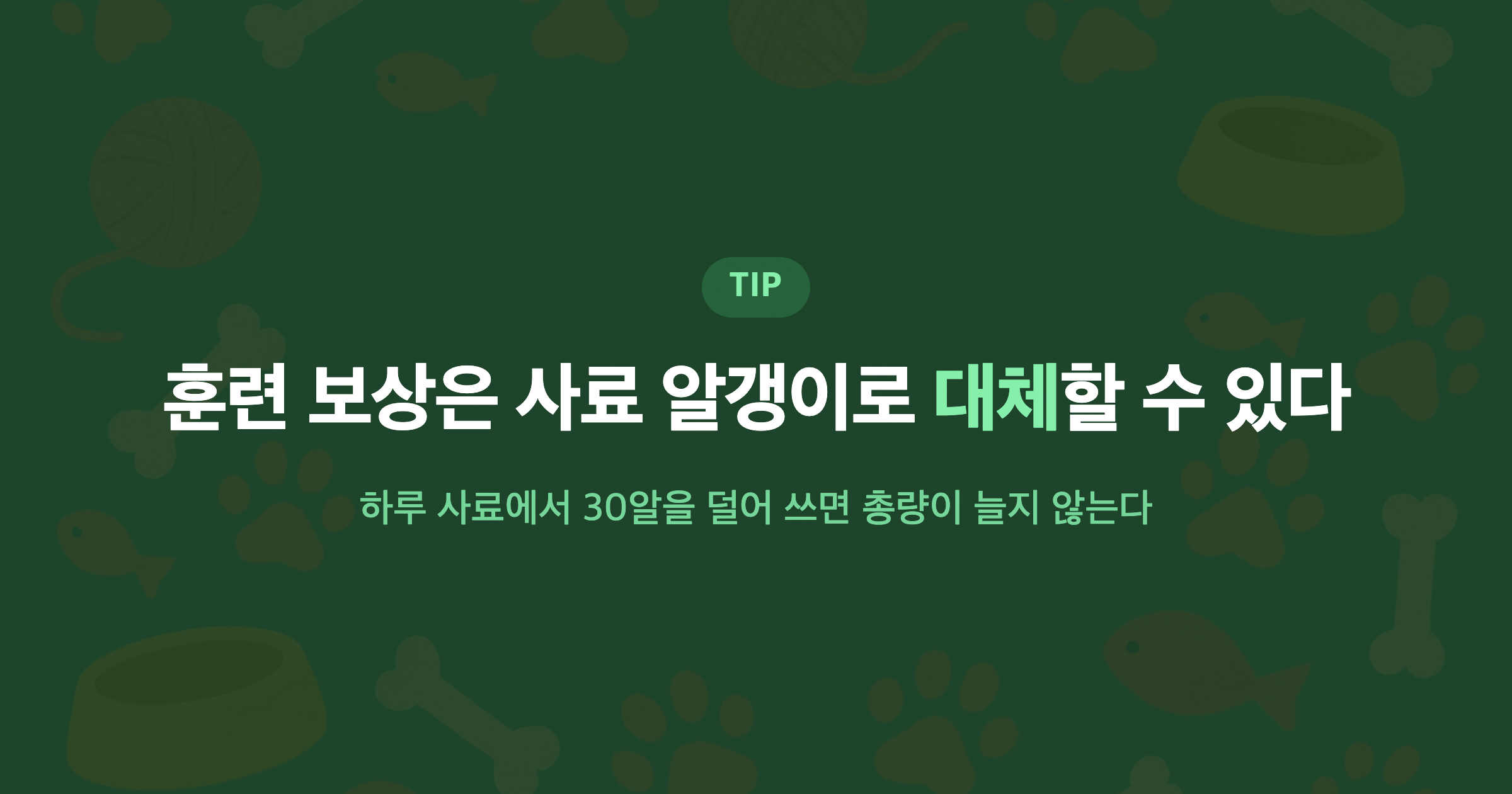 훈련 보상은 사료 알갱이로 대체할 수 있다 하루 사료에서 30알을 덜어 쓰면 총량이 늘지 않는다