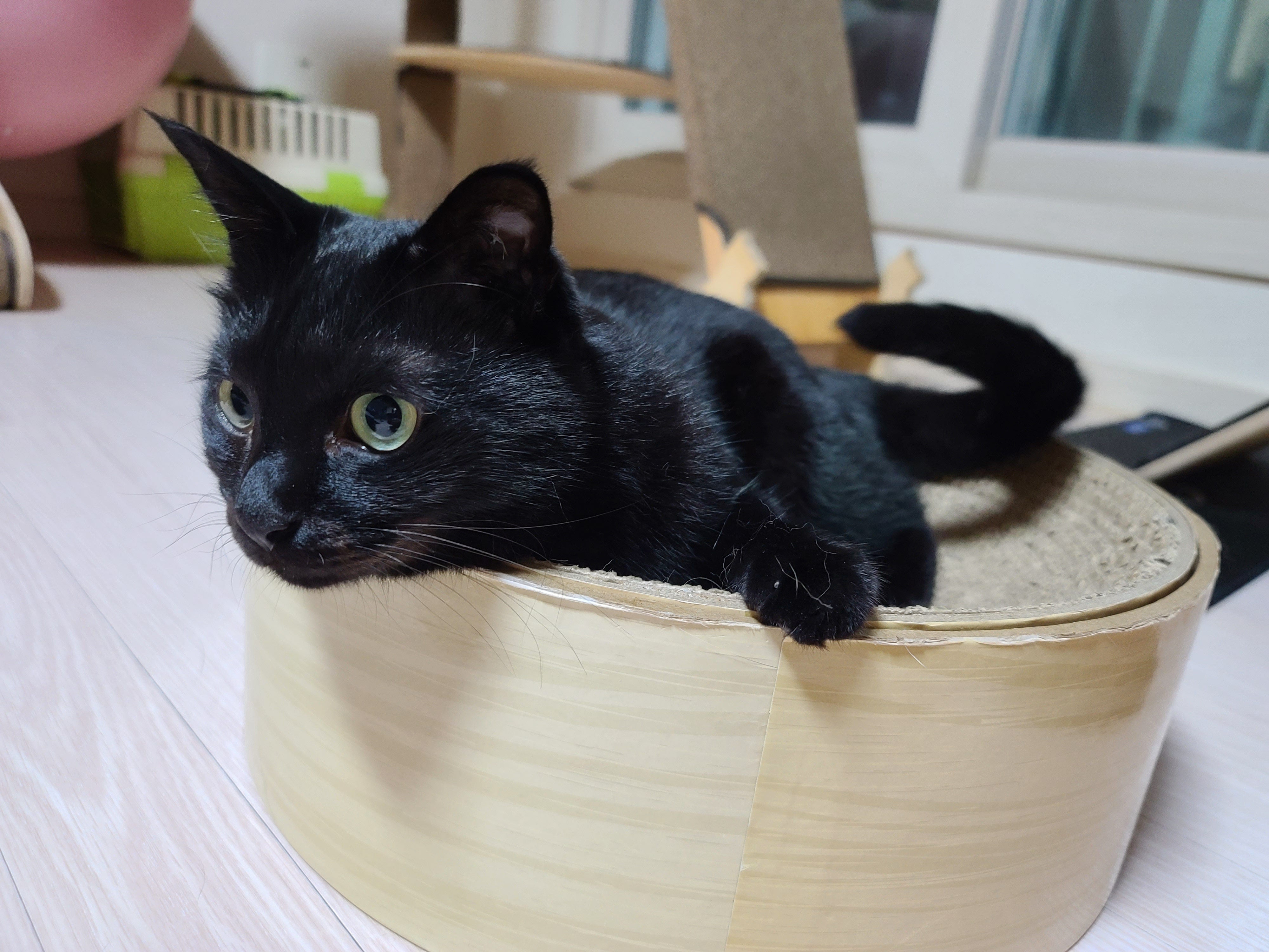 요즘 부쩍 인기가 높아진 '동 to the 그 to the 라미' 스크래쳐!