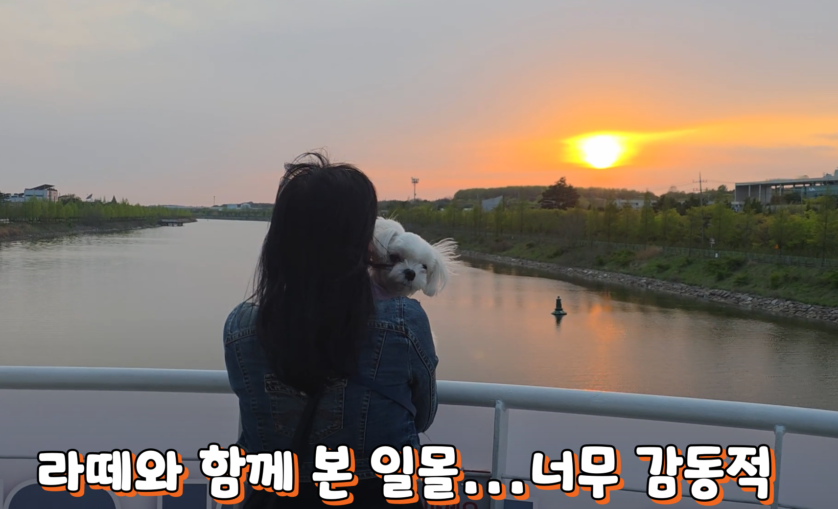 댕댕크루즈 여행