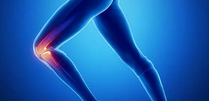 콘드로이친 1200mg