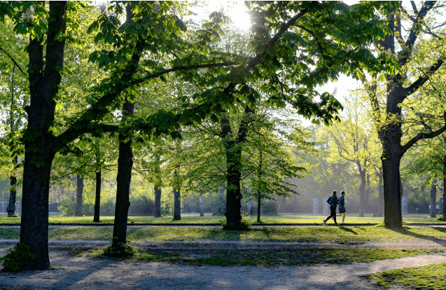 한국형 슬로우 라이프를 위한 주말 시골 여행 코스