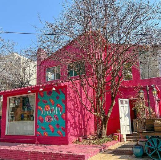 생방송오늘저녁 1년 365일 꽃이 있는 핑크빛 디저트카페