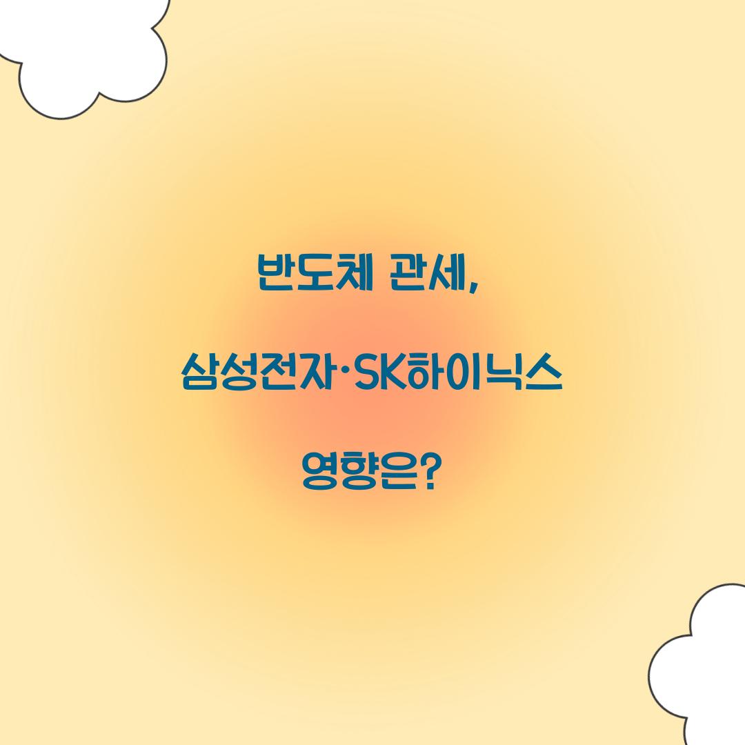 반도체 관세
