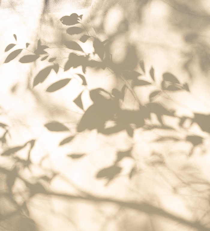 건강한 피부를 위한 5가지 팁