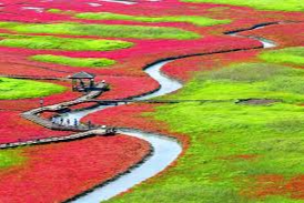 신안 여행 가이드 : 숨겨진 보석 같은 섬과 힐링 명소 총정리!