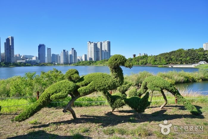 튤립명소 수원 광교호수공원