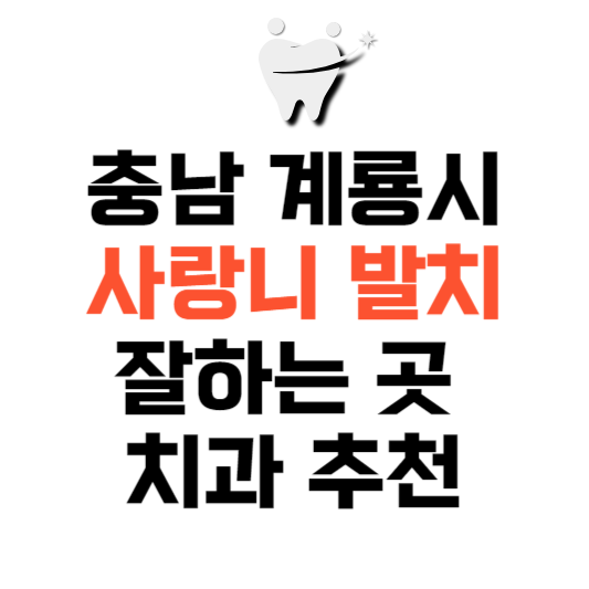 충남 계룡시 사랑니 치과 발치 잘하는 곳 추천 매복 가격 비용.png