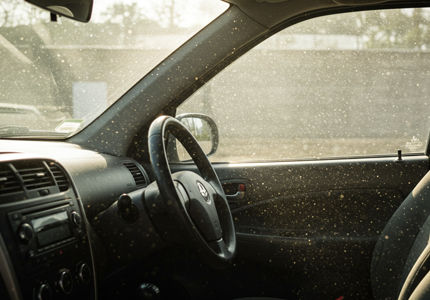 자동차 미세먼지