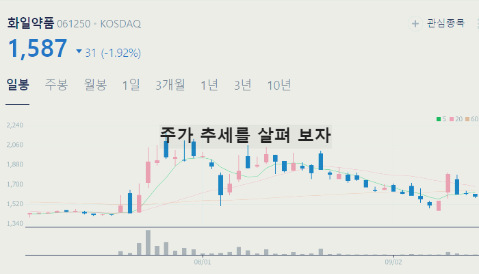 대마 마리화나 관련주 TOP7