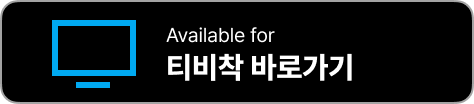 티비착