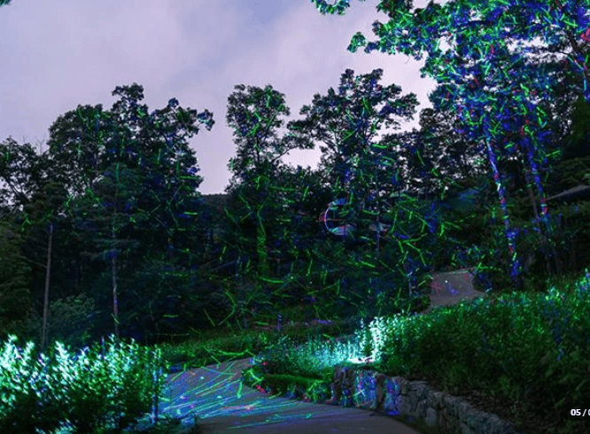 2025 화담숲 예약하기 모노레일 예약하기