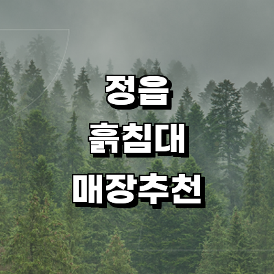 정읍시 흙침대