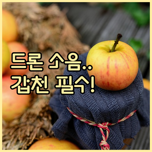 드론 소음 확성기 금지 갑천생태공원 ..