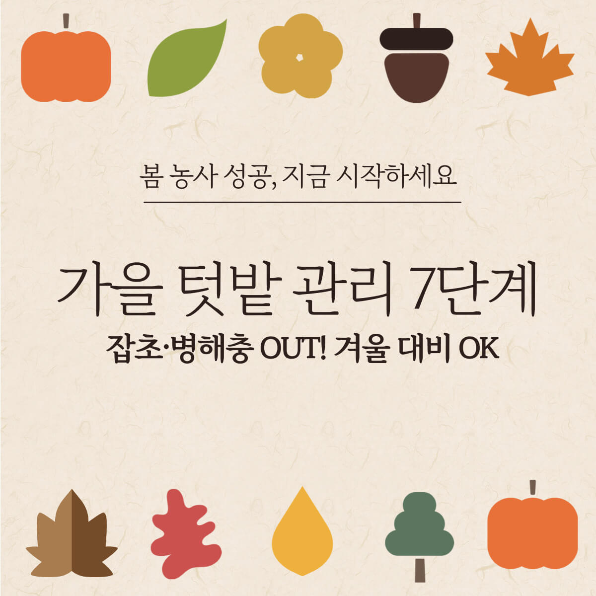 thumbnail-가을텃밭관리방법