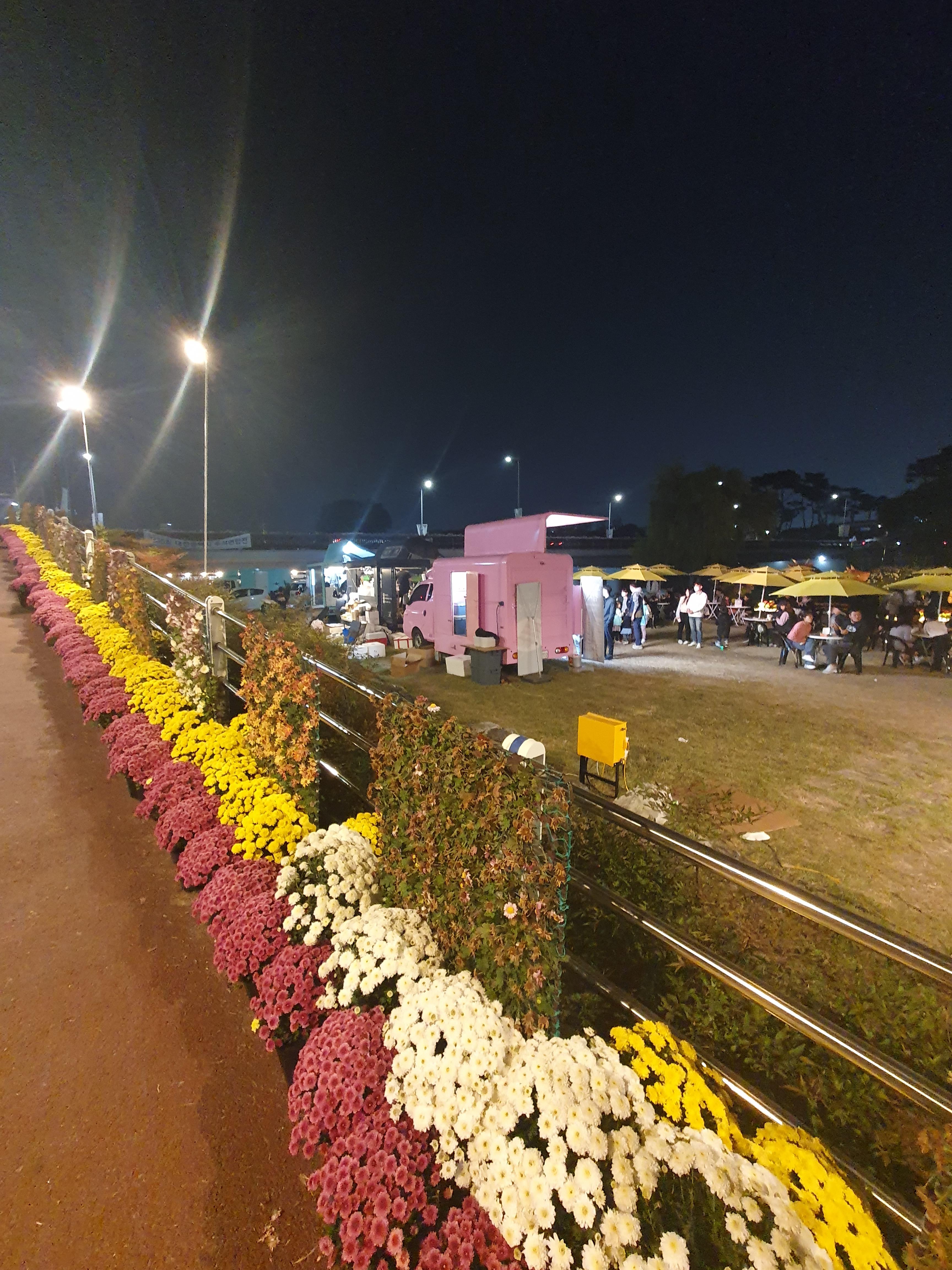 유림공원 국화축제 푸드트럭