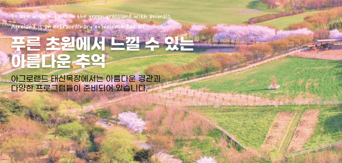 당진 아그로랜드 태신목장 메인