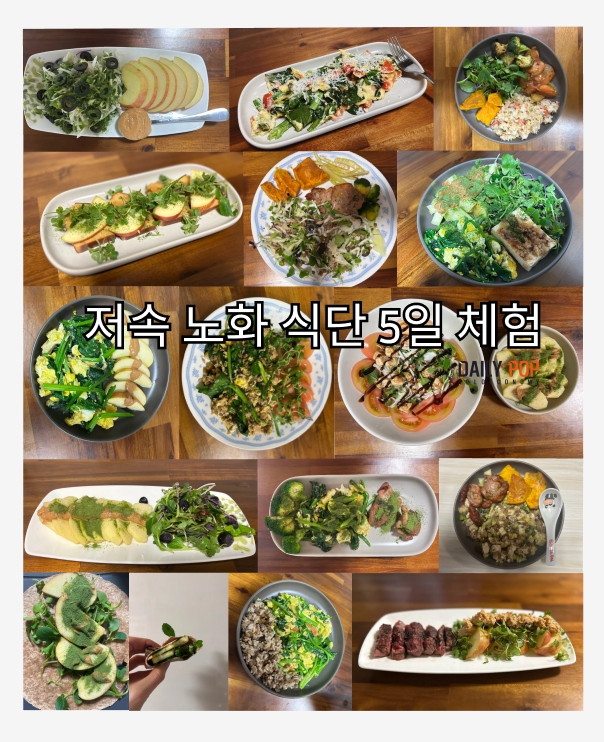 저속노화 1탄. 노화를 늦추는 생활 습관 7가지