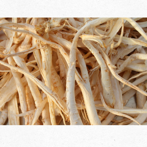 8월 제철나물 도라지 향긋한 건강식재료