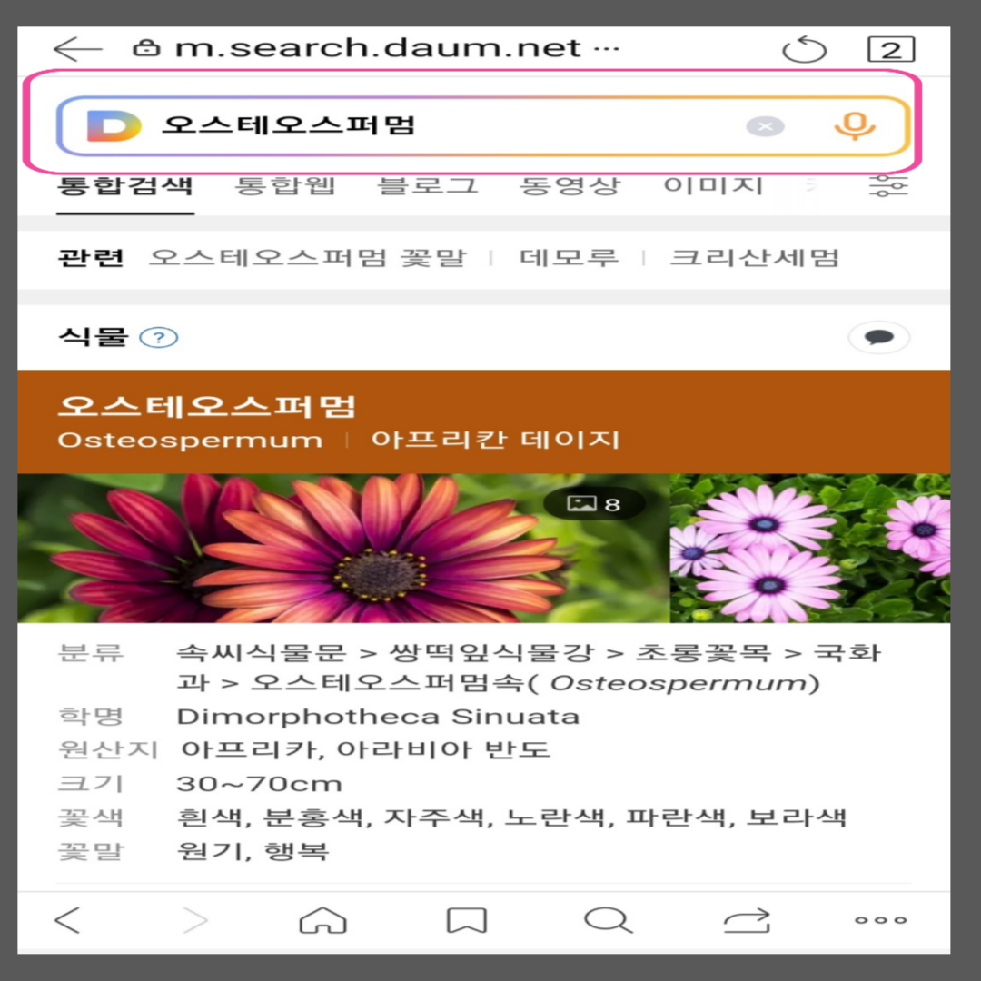 꽃이름 찾기 앱