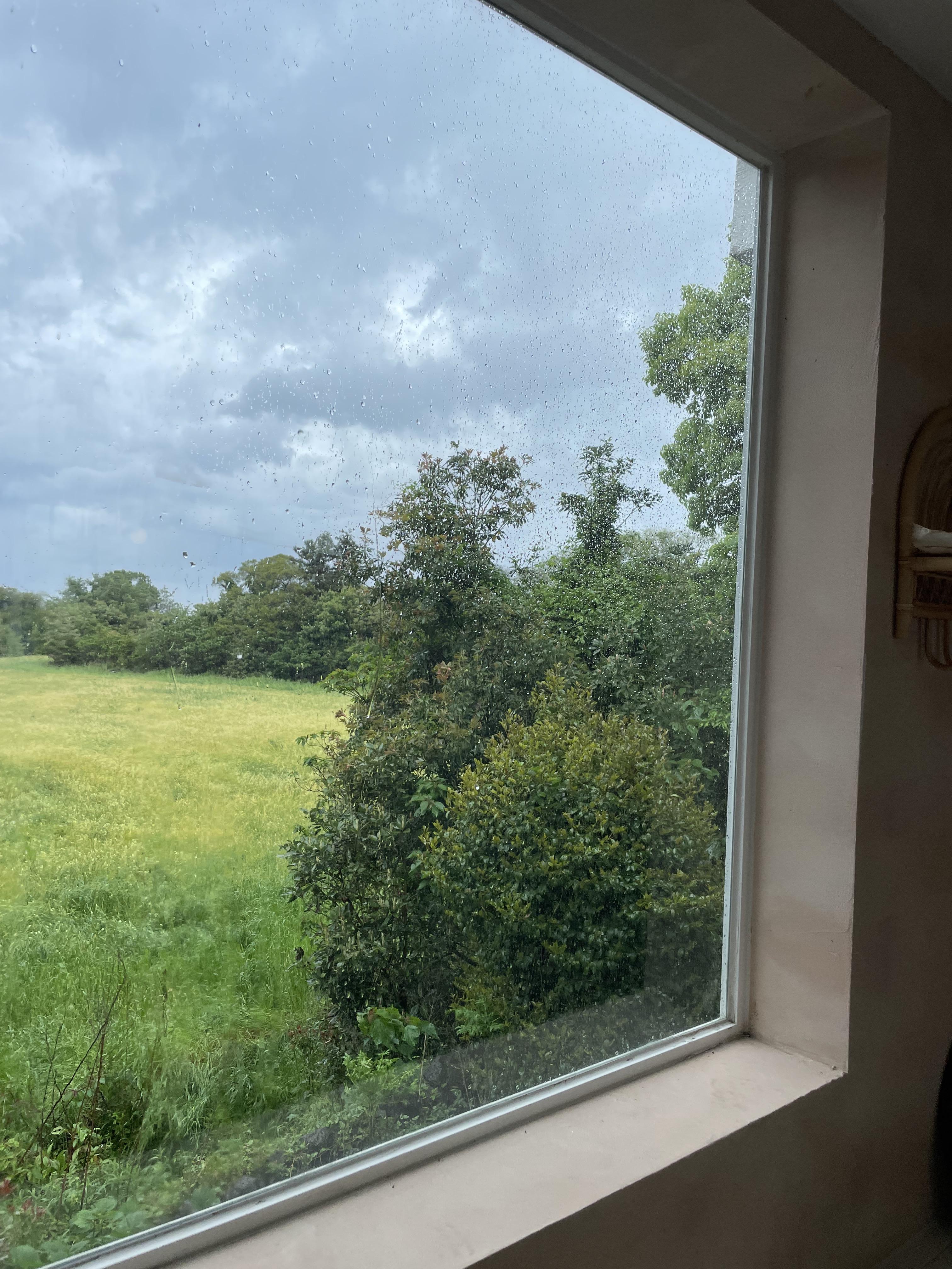 제주맛집-파스타