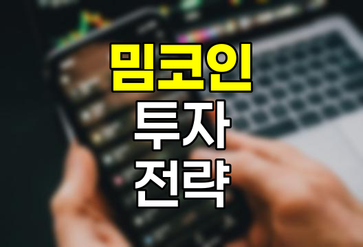밈코인 열풍과 투자 전략