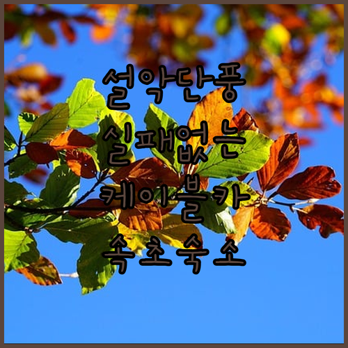 가을 단풍 여행 설악산 케이블카 타는..