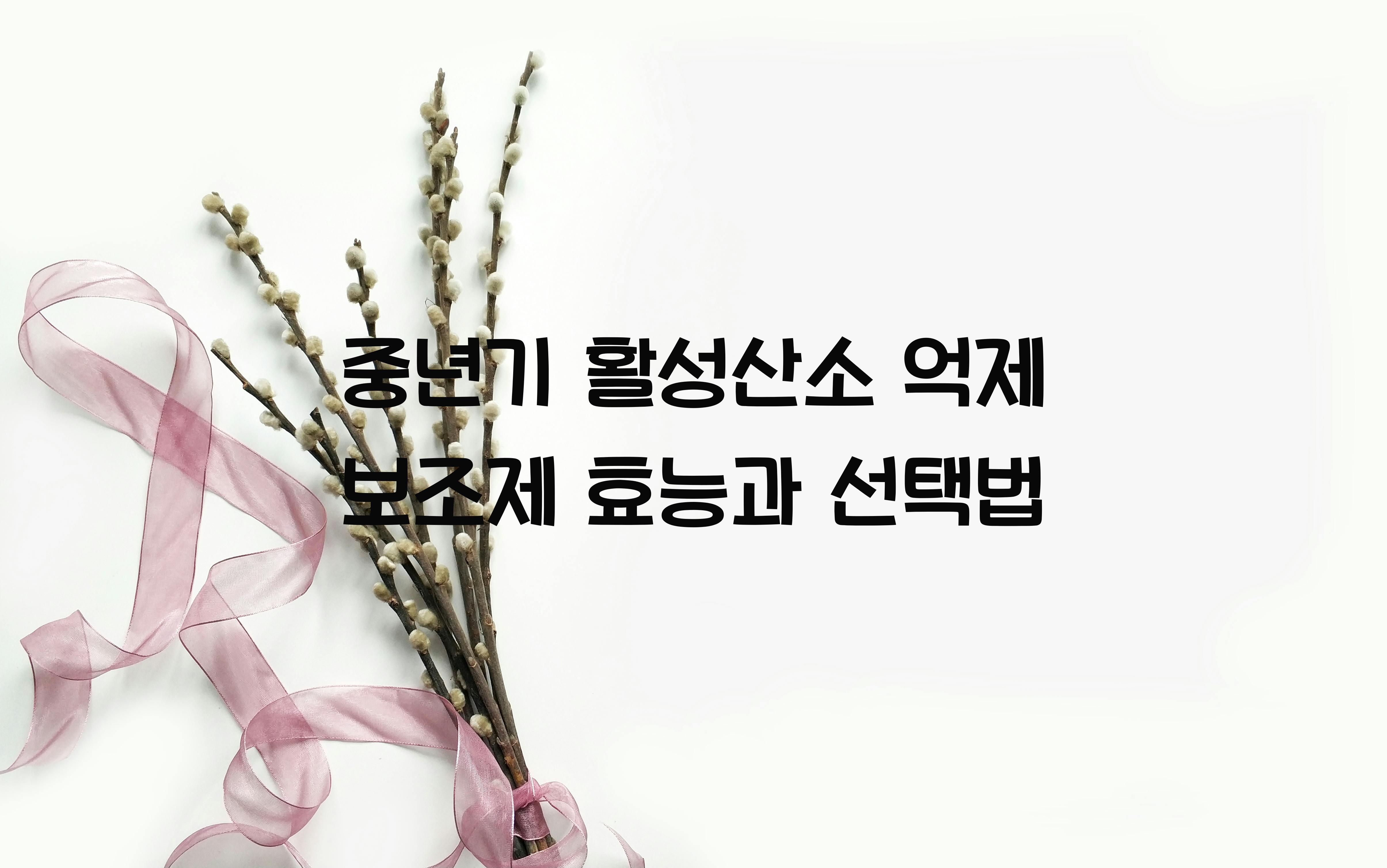 중년기 활성산소 억제 보조제