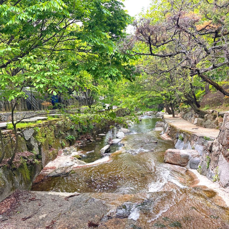 수목원프로방스