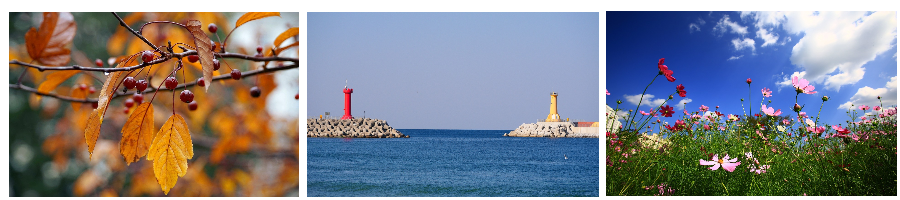 디지털 관광주민증