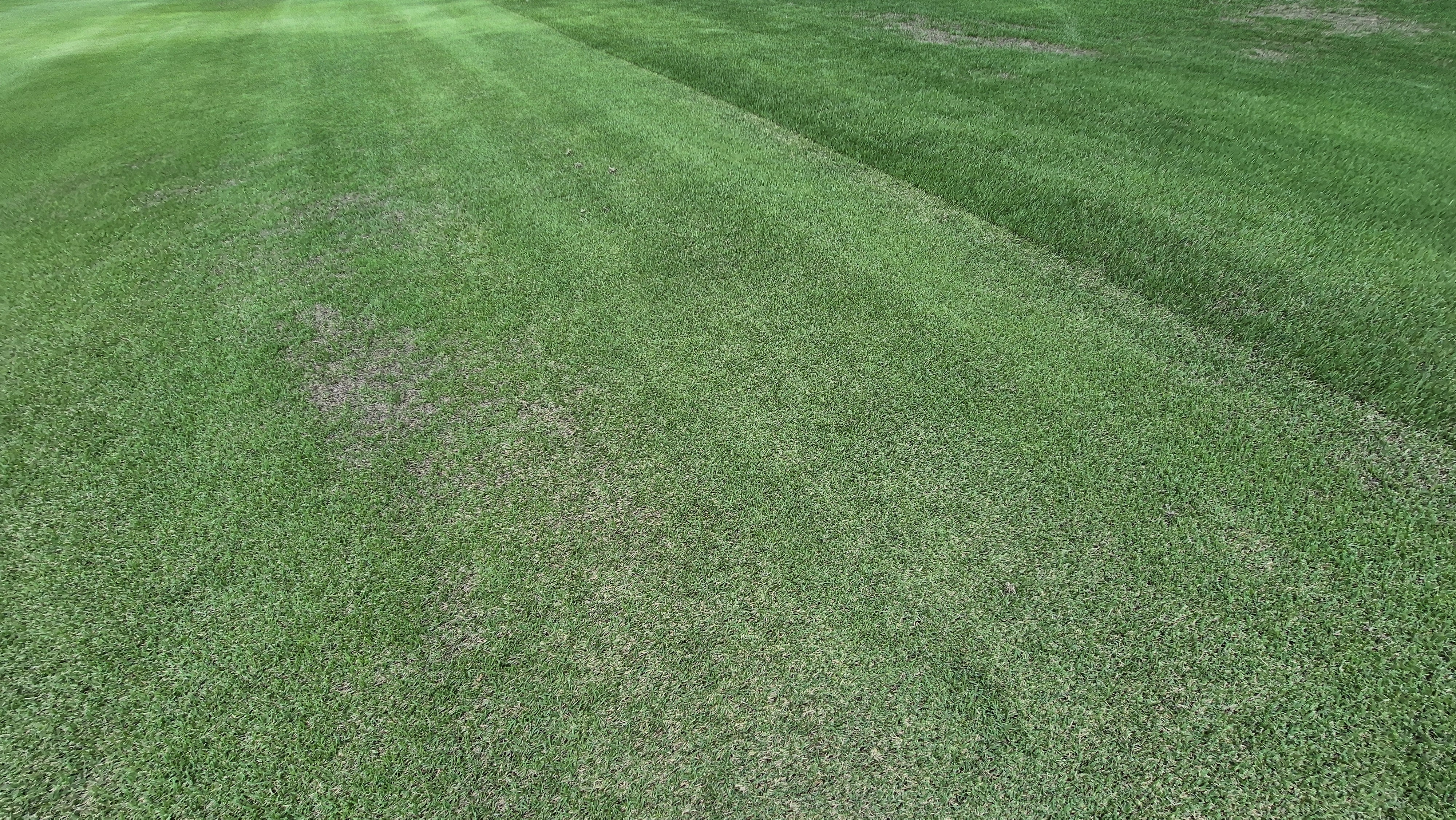 SG 아름다운cc 라운드 후기