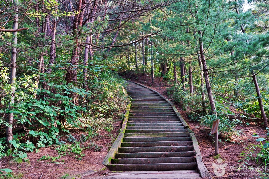 예천 가볼만한곳 베스트10