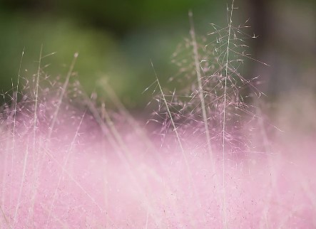 제주 한림공원 수선화 축제가 23년 1월 21일부터 2월 19일까지 제12회 수선화축제를 개최합니다. 1월부터 12월까지 365일 꽃을 관람할 수 있고 테마 별로 공간도 있어서 볼 거리가 많습니다.
